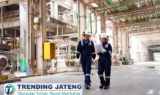 Laba Pupuk Indonesia Tembus Rp8,51 Triliun di Semester I 2026, Berkat Transformasi Danantara